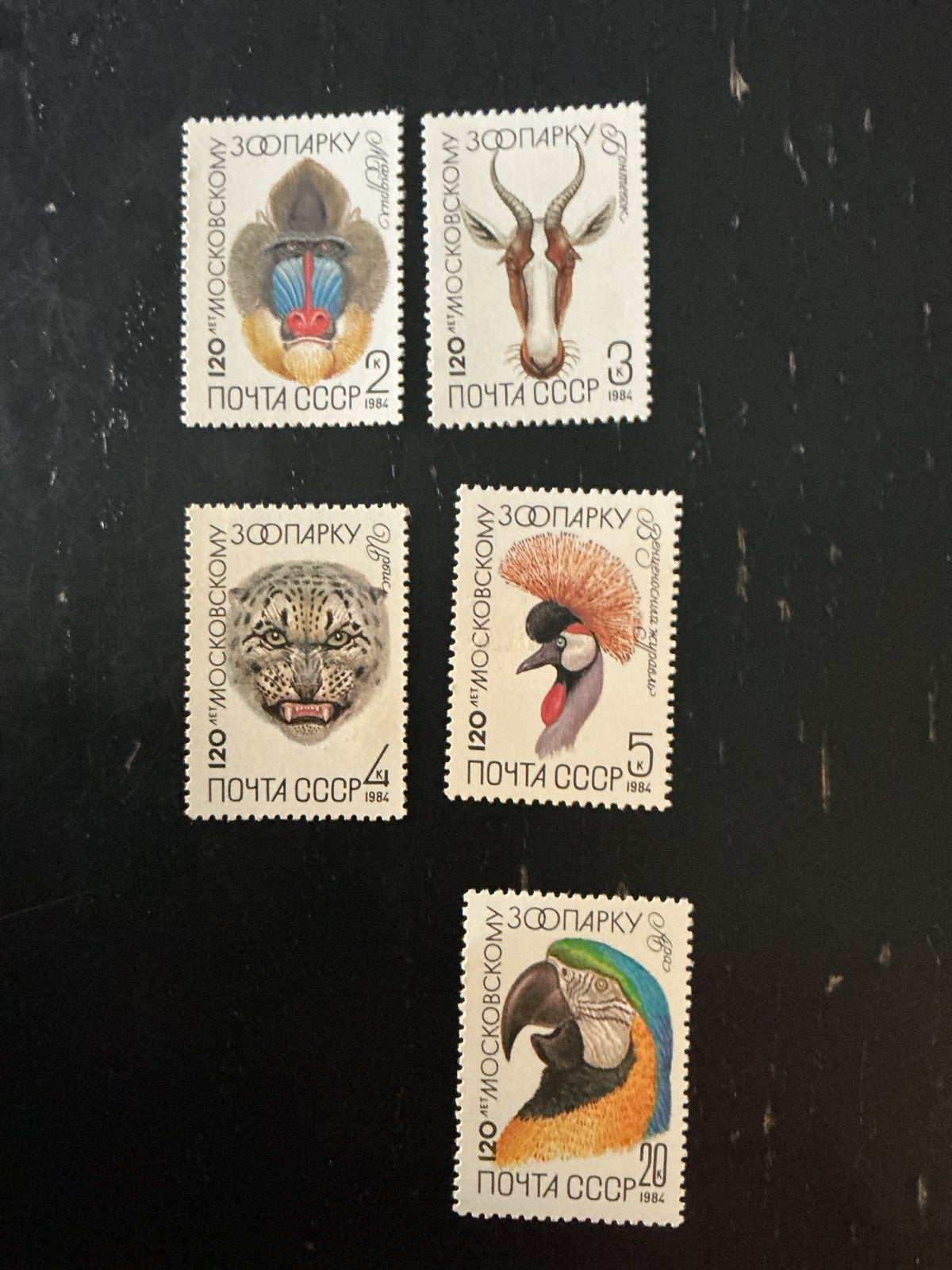 Set van 5 Sovjet-Unie postzegels - 120 jaar Moskouse Zoo, Ophalen of Verzenden, Postfris