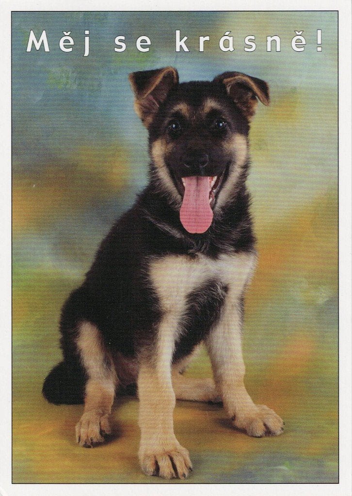 Duitse Herder 428, Ophalen of Verzenden, 1980 tot heden, Ongelopen, Hond of Kat