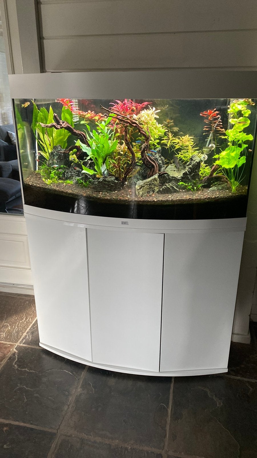 Juwel aquarium plus alle toebehoren, Dieren en Toebehoren, Zo goed als nieuw, Leeg aquarium, Juwel, Ophalen
