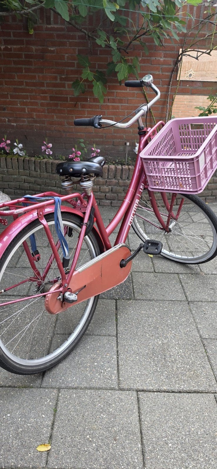 Cortina U4 Transportfiets Dames - Roze met Mand, Terugtraprem, Gebruikt, 50 tot 53 cm, Ophalen