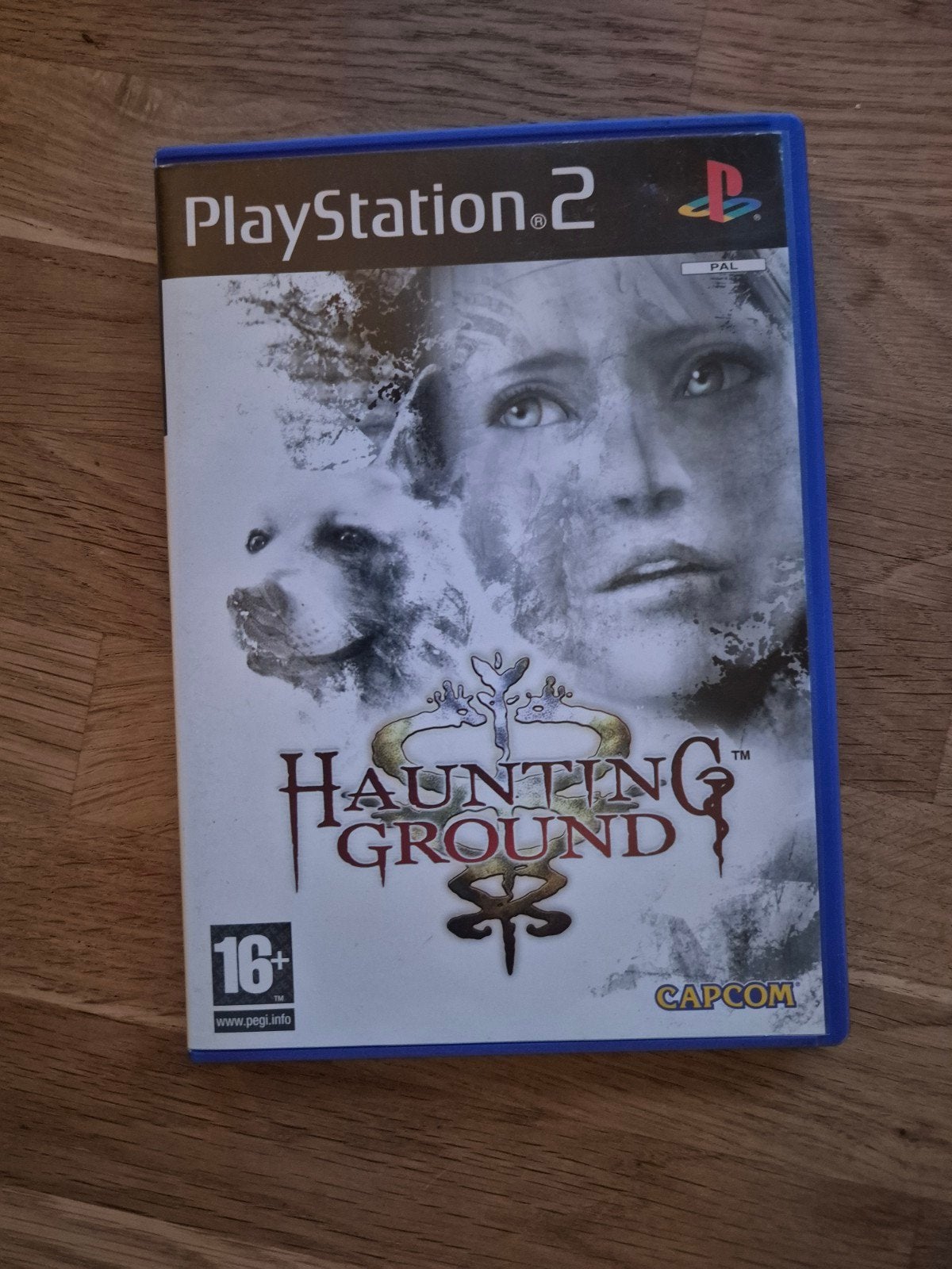 Haunting Ground PlayStation 2 - Zeer zeldzaam, Spelcomputers en Games, Avontuur en Actie, Gebruikt, 1 speler, Ophalen of Verzenden
