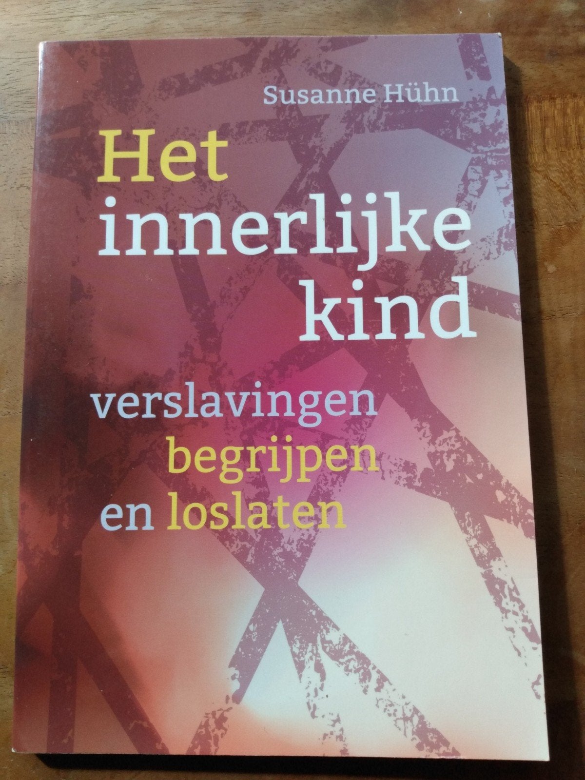 Susanne Hühn - Verslavingen begrijpen en loslaten, Ophalen of Verzenden, Zo goed als nieuw, Susanne Hühn