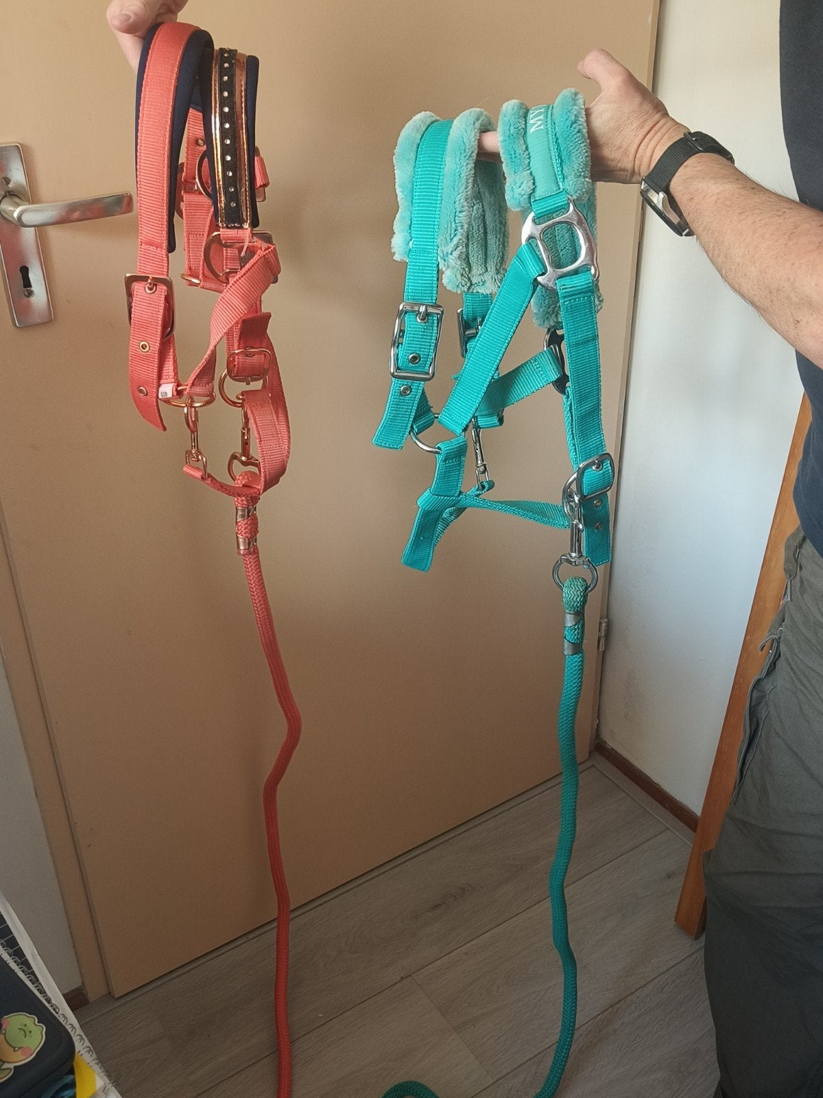 Halsters Harry's Horses, Ophalen, Gebruikt, Harry's Horse, Halster