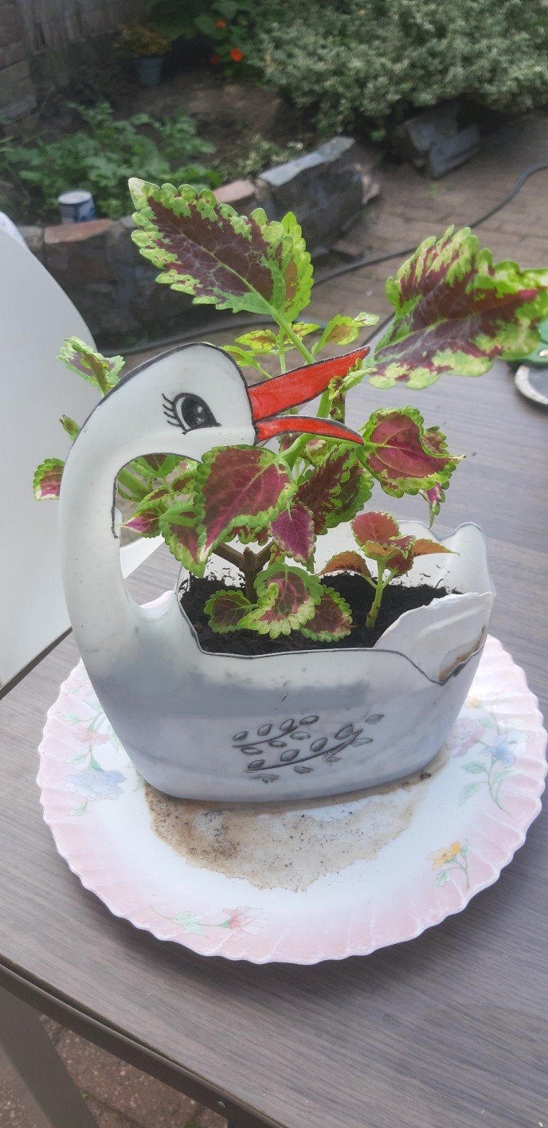 Coleus plant, Rond, Binnen, Ophalen of Verzenden, Aardewerk