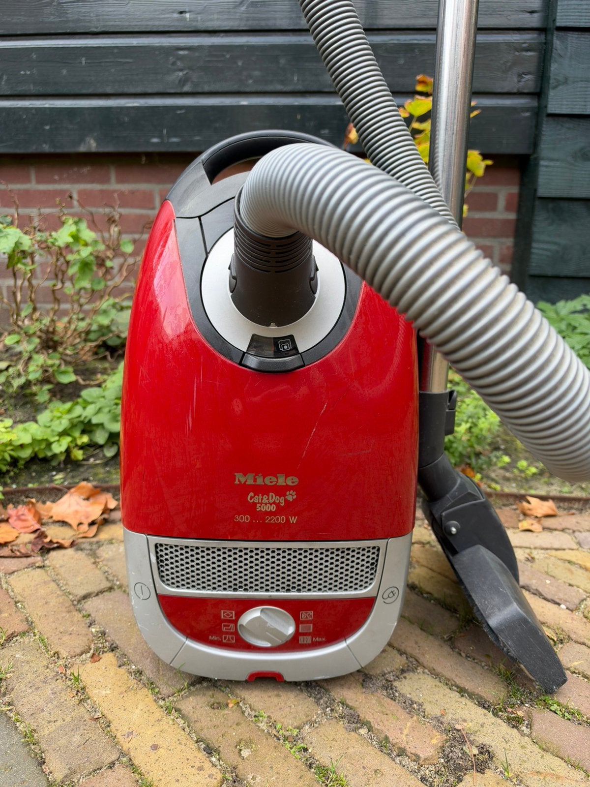 Miele Cat & Dog 5000, Gebruikt, Miele, 2000 watt of meer, Ophalen