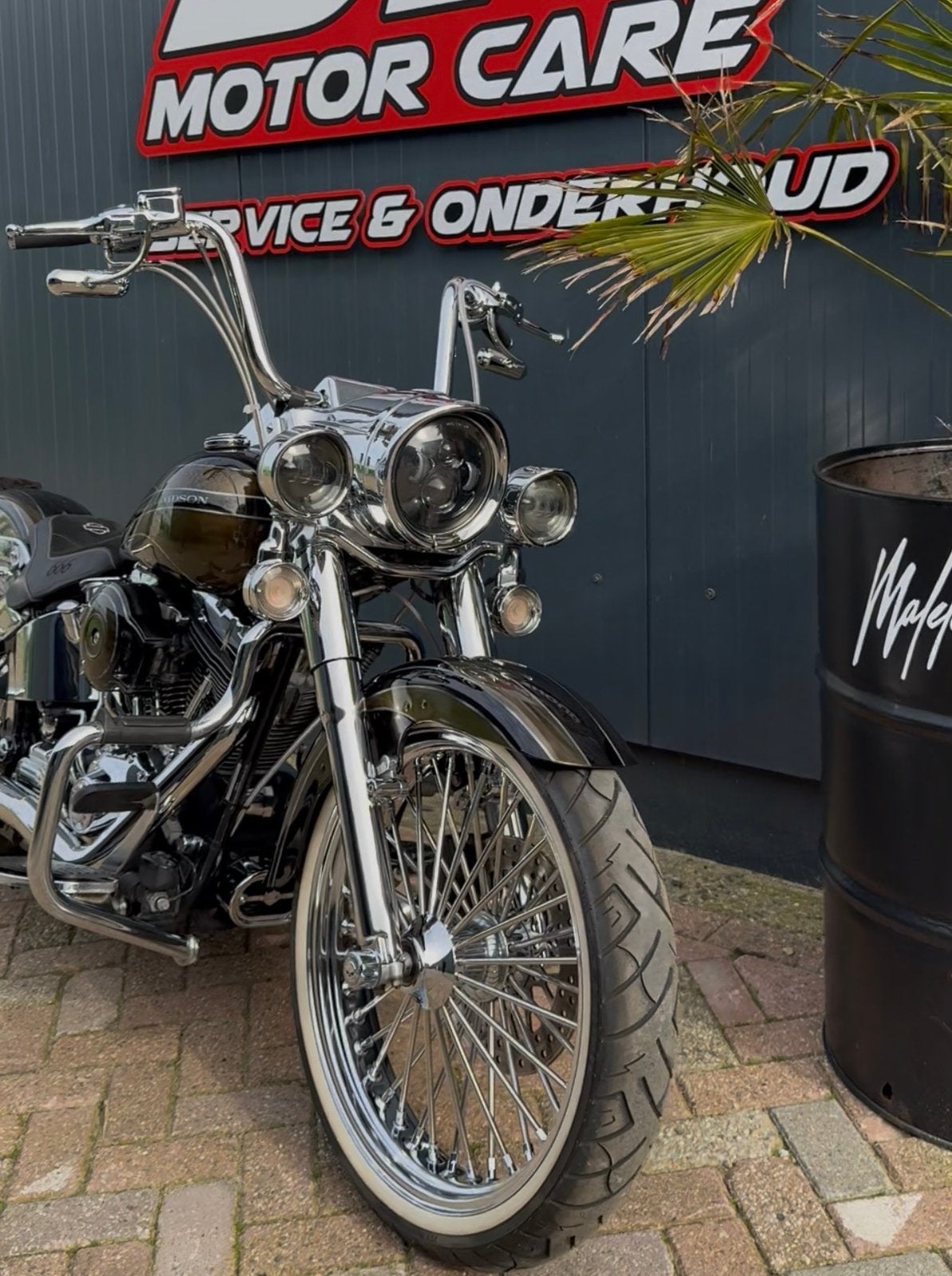 Harley-Davidson Softail Mexican Style  Special Paint, Particulier, Chopper