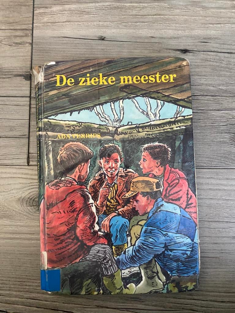 De zieke meester - Ada Verrips, Ophalen, Gelezen, Fictie