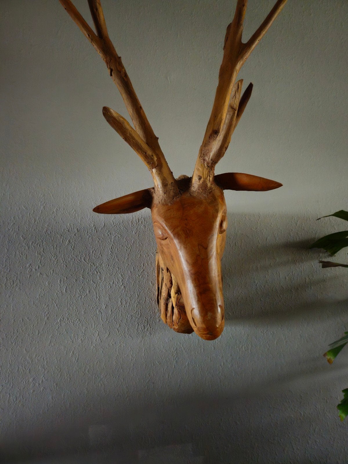 Massief houten hertenkop, Ophalen