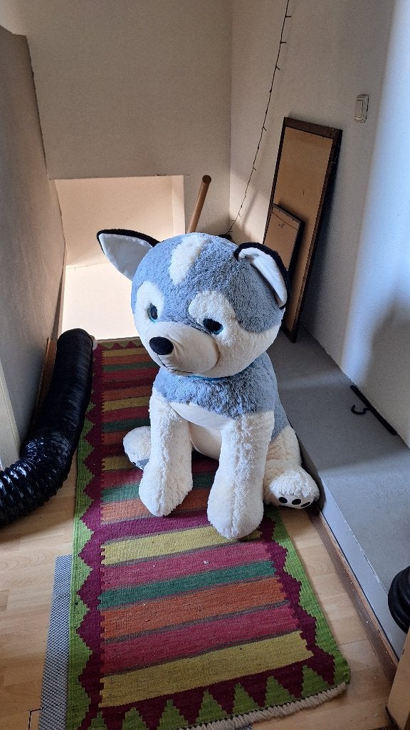 Hond knuffel, Ophalen, Gebruikt, Overige merken, Overige karakters