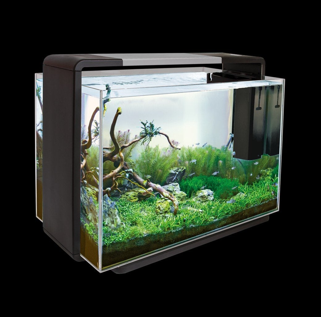 Superfish 110 home + meubel, Dieren en Toebehoren, Vissen | Aquaria en Toebehoren, Ophalen of Verzenden, Superfish, Inclusief vissen