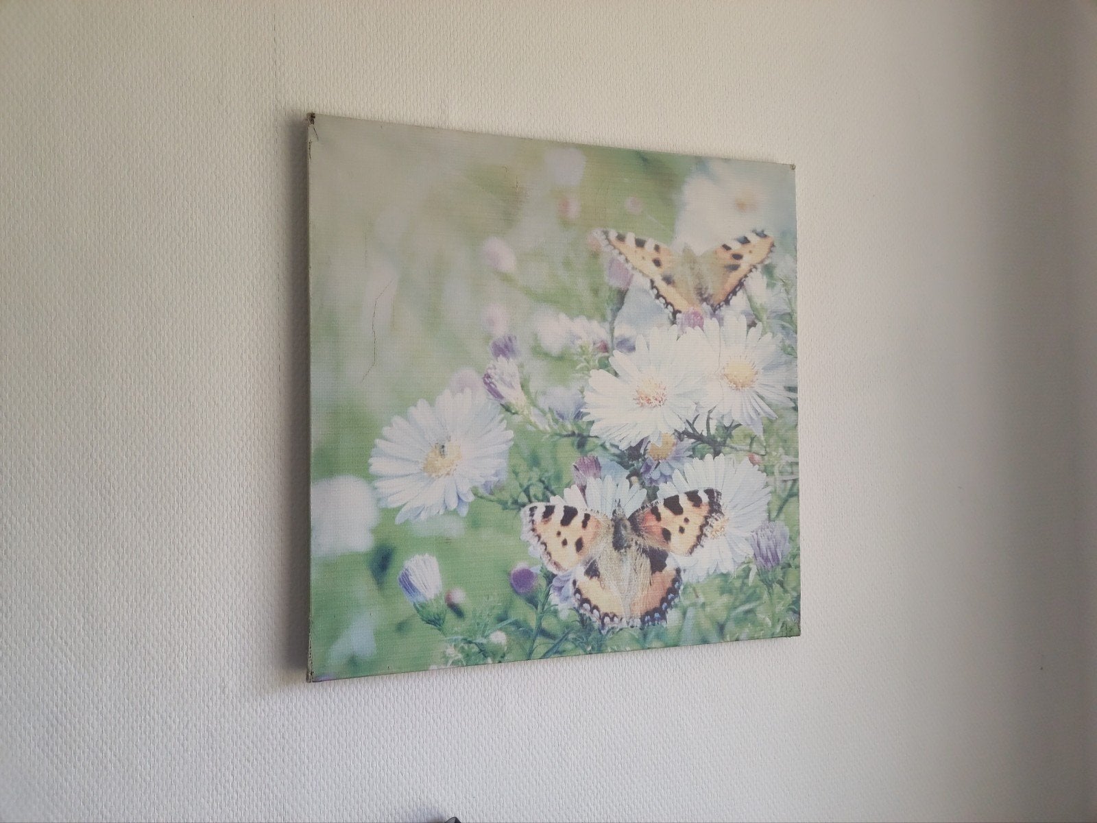 Ingelijste print met vlinders en bloemen, Ophalen, Minder dan 50 cm, Gebruikt, Schilderij