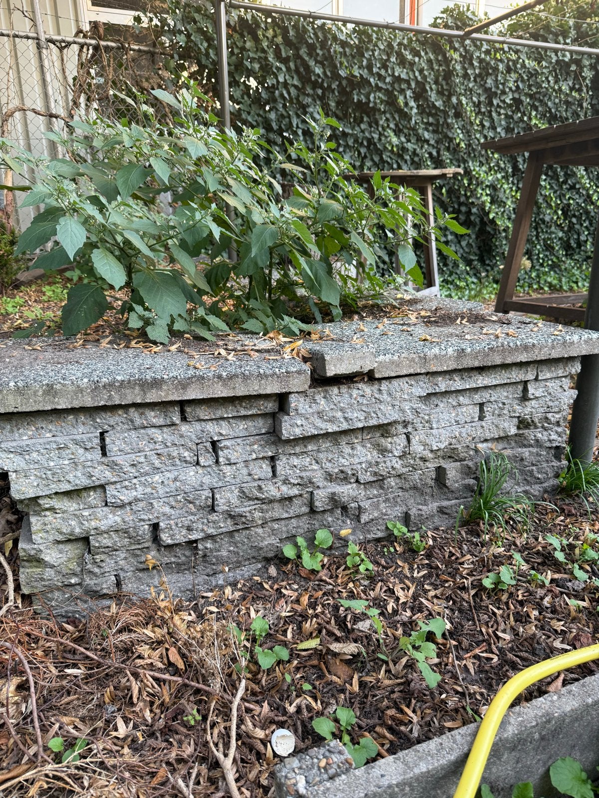 Betonnen stapelblokken voor tuin of border, Tuin en Terras, Ophalen, Gebruikt, Overige typen, Minder dan 5 m²