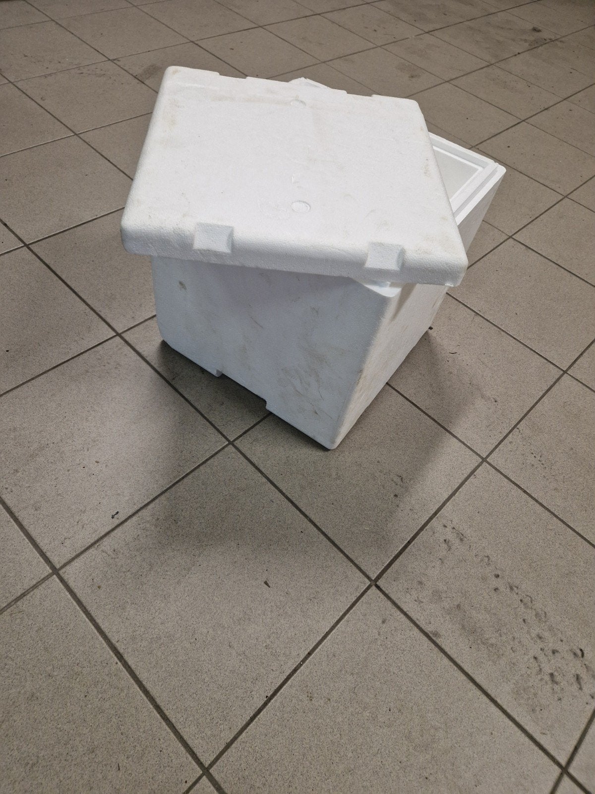 Geïsoleerde Bewaarboxen - EPS Koelboxen, Ophalen, Koelelement