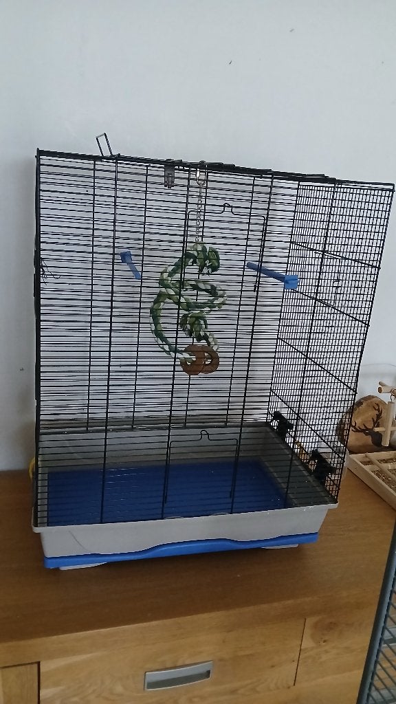 Grote vogelkooi, Dieren en Toebehoren, Ophalen, Gebruikt, Metaal, Vogelkooi