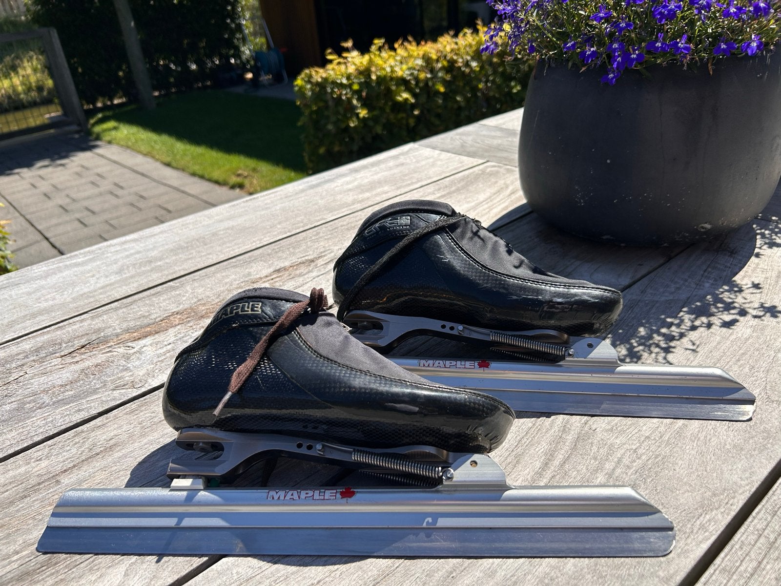 Maple Klapschaatsen Maat 37, Sport en Fitness, Klapschaats, Ophalen of Verzenden, Zo goed als nieuw, Maple