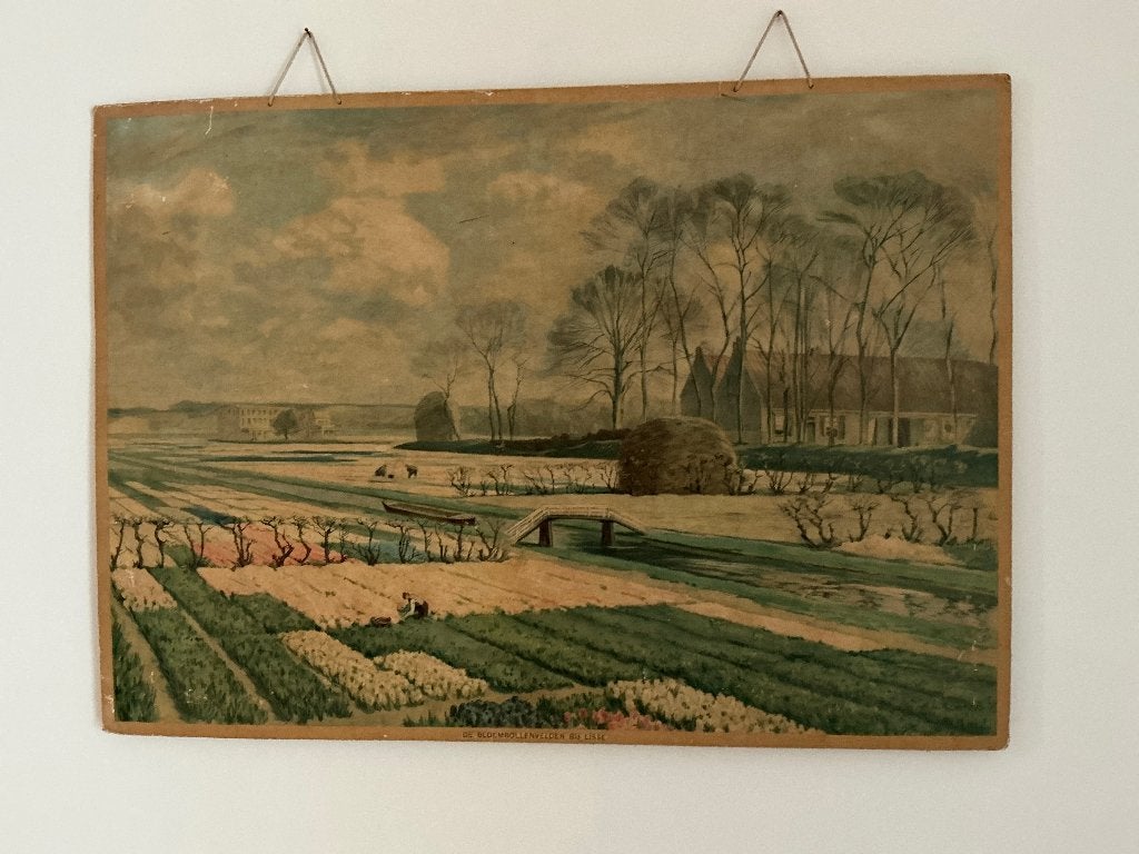 Oude schoolplaat, Antiek en Kunst, Antiek | Schoolplaten, Ophalen, Natuur en Biologie