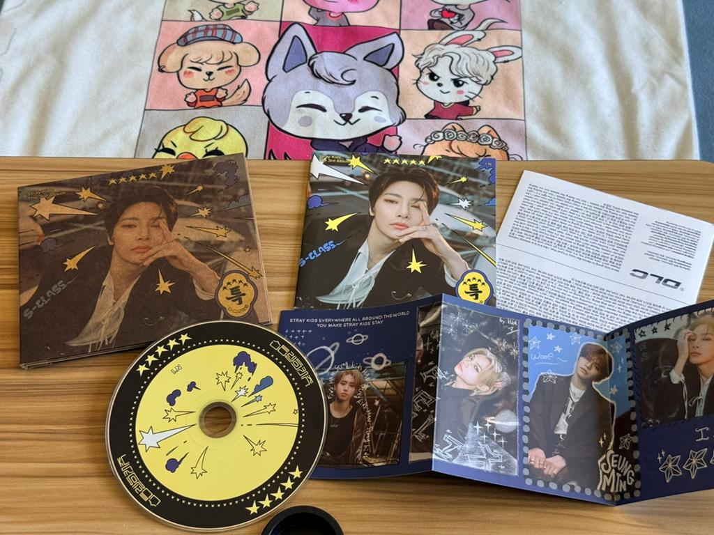 Stray Kids I.N 5 star cd, Ophalen of Verzenden, Zo goed als nieuw, Cd of Plaat