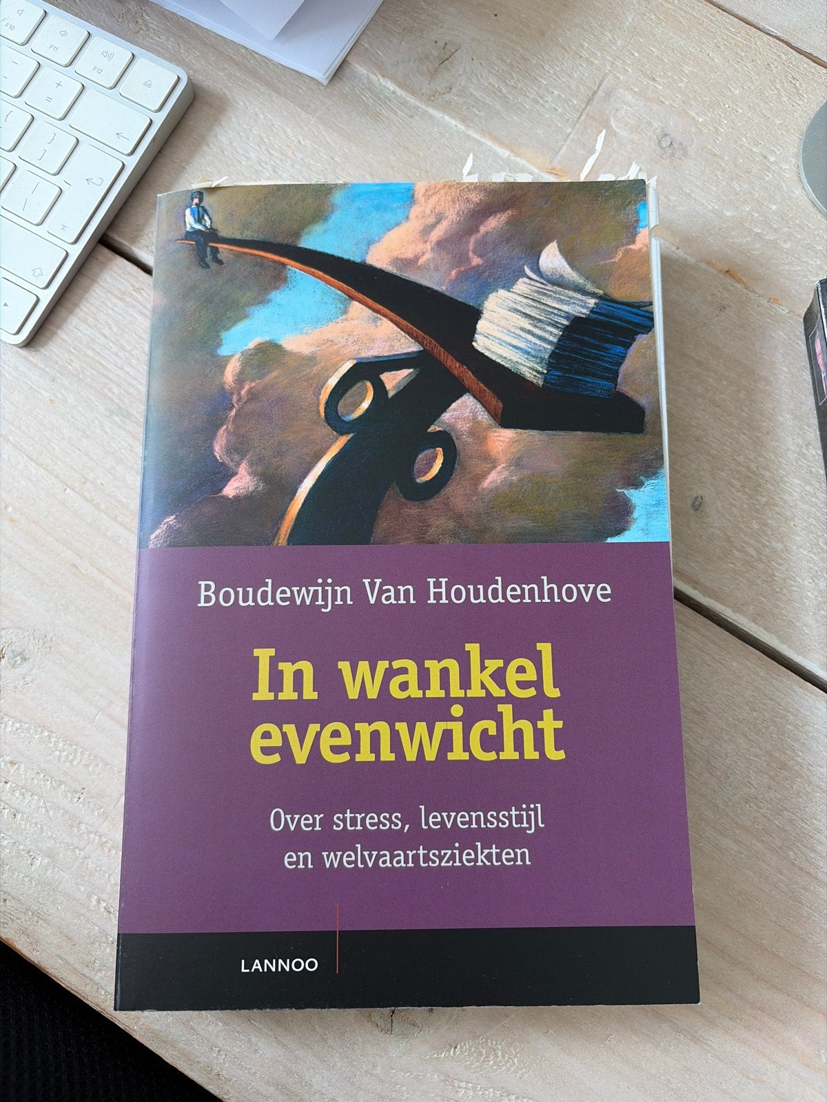 In wankel evenwicht: Over stress, levensstijl en welvaartszi, Ophalen of Verzenden, Zo goed als nieuw, Gezondheid en Conditie