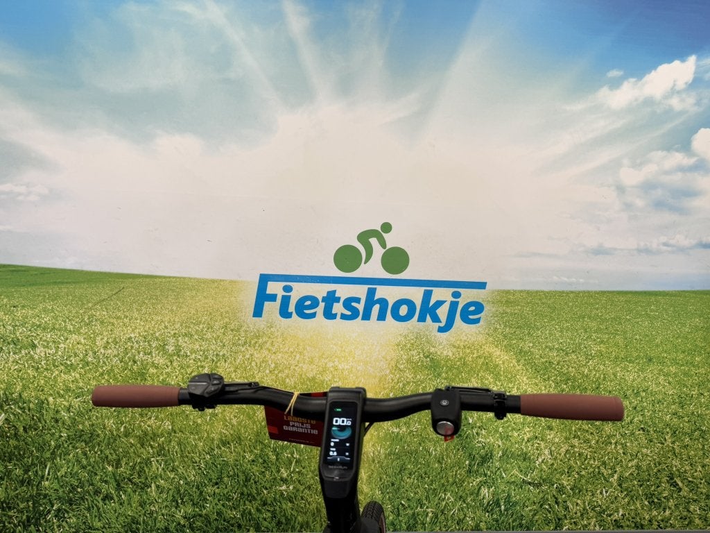 Fietshokje Amersfoort: Nieuwe Raaks Urban E-Bike, Niet ingevuld, Nieuw, Ophalen of Verzenden, 51 tot 55 cm