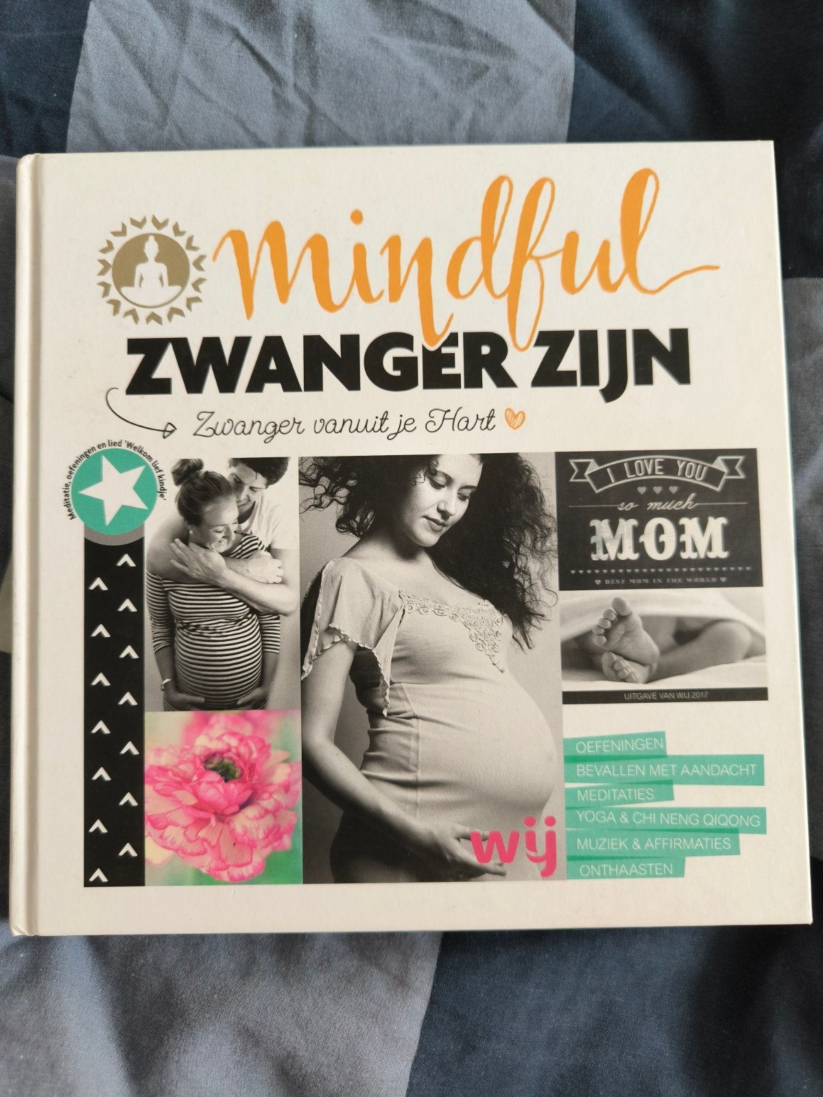 Anna van Amsterdam - Mindful zwanger zijn, Zwangerschap en Bevalling, Zo goed als nieuw, Anna van Amsterdam; Yvon Tuinte-Zwanenburg