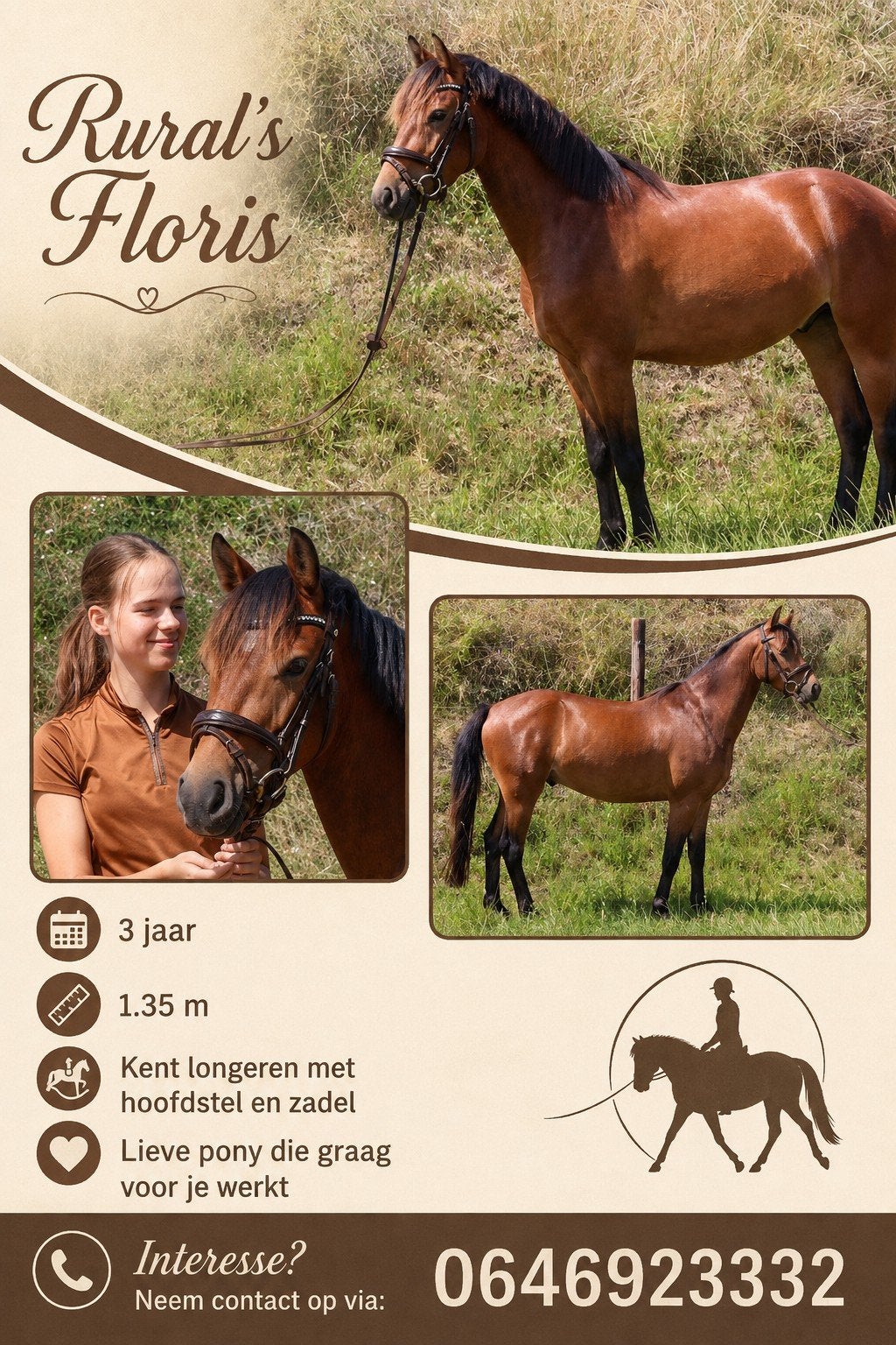 3 jarige c pony ruin, Dieren en Toebehoren
