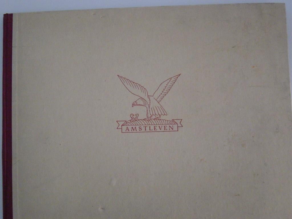 Amstleven Kaartenboek, Gelezen, 19e eeuw, Ophalen of Verzenden, Zie beschrijving