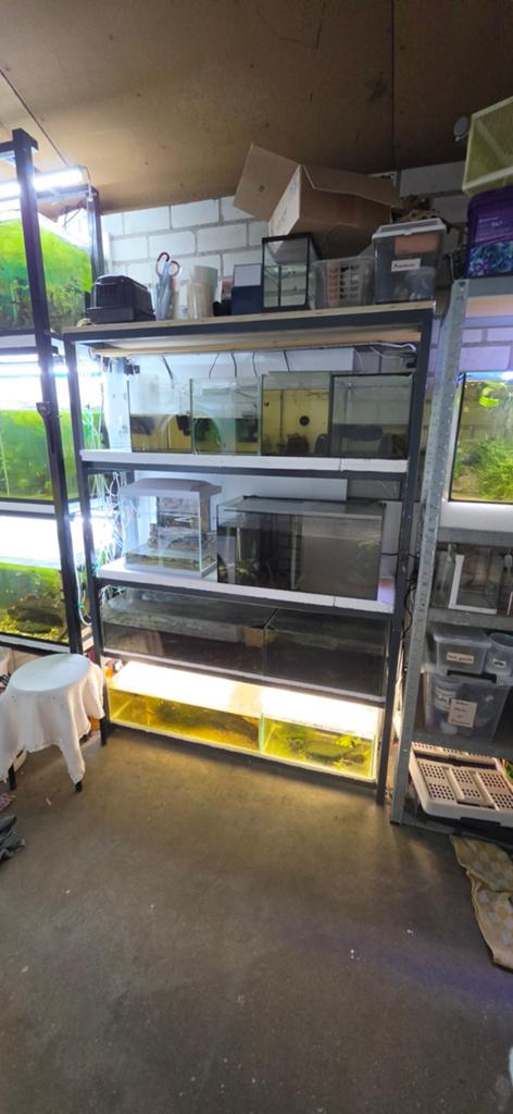 Aquariumstelling te koop!, Dieren en Toebehoren, Vissen | Aquaria en Toebehoren, Ophalen, Gebruikt, Overige merken, Leeg aquarium