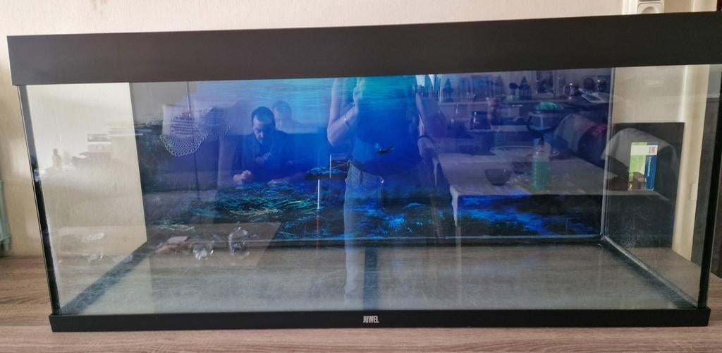 Juwel rio 240 met helialux spectrum 1200., Ophalen, Gebruikt, Leeg aquarium, Juwel