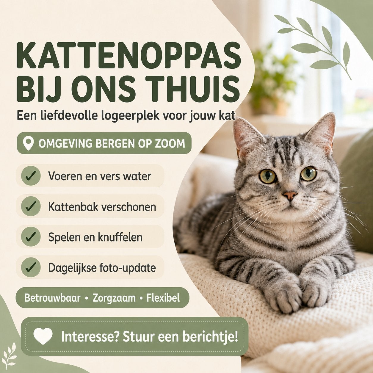 Katten oppas aangeboden regio Bergen op Zoom