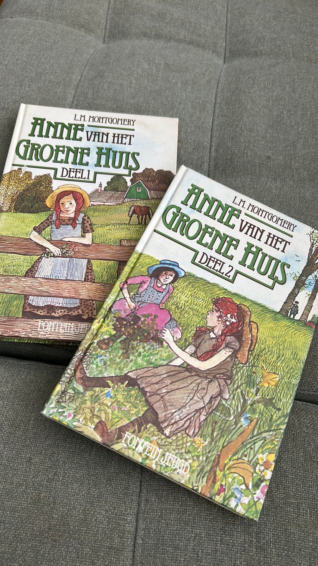 L.M. Montgomery Anne van het Groene Huis deel 1 & 2, Boeken, Ophalen of Verzenden, Zo goed als nieuw