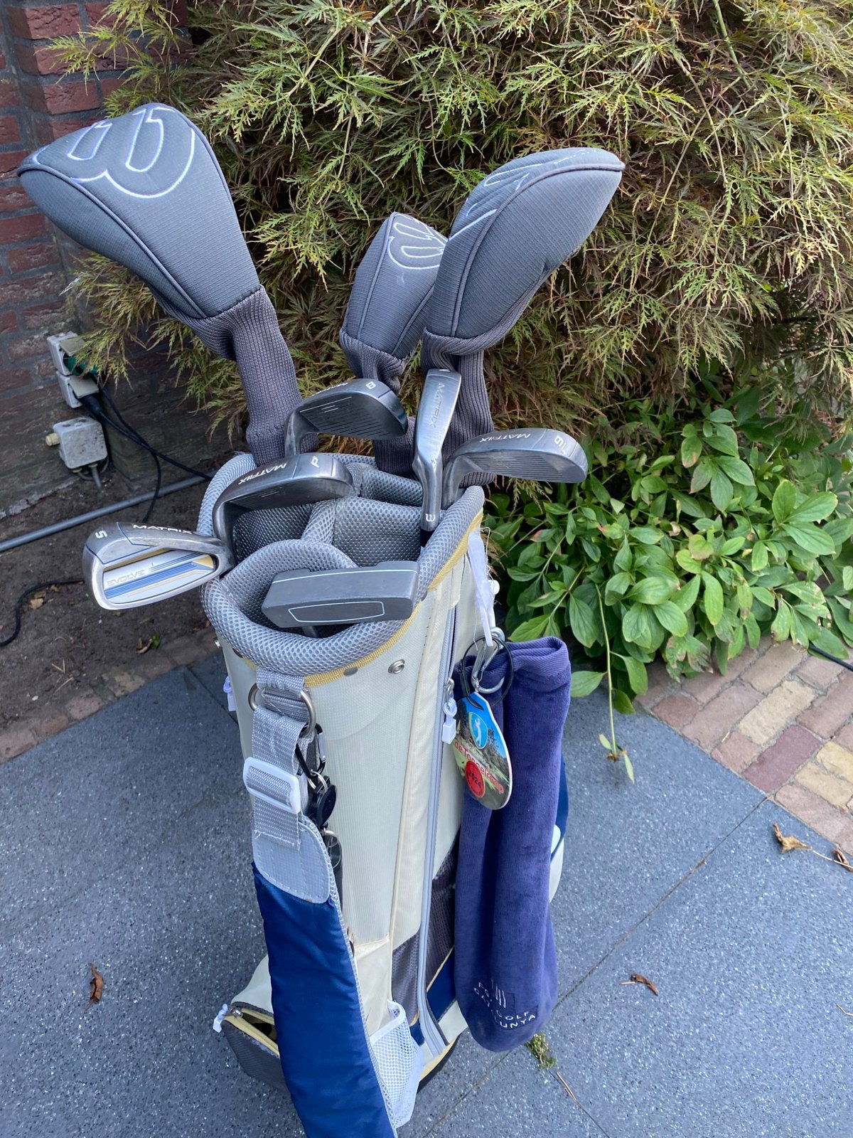 Complete Wilson dames golfset (graphite) met tas, Sport en Fitness, Golf, Ophalen, Gebruikt, Set, Overige merken