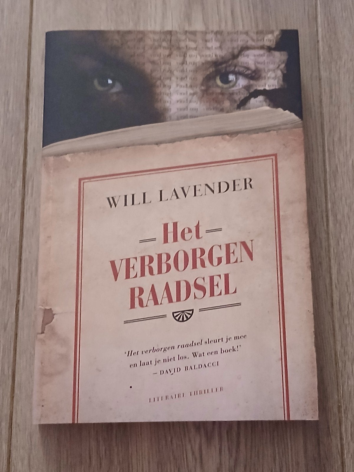 Will Lavender - Het Verborgen Raadsel (Literaire Thriller), Ophalen of Verzenden, Zo goed als nieuw