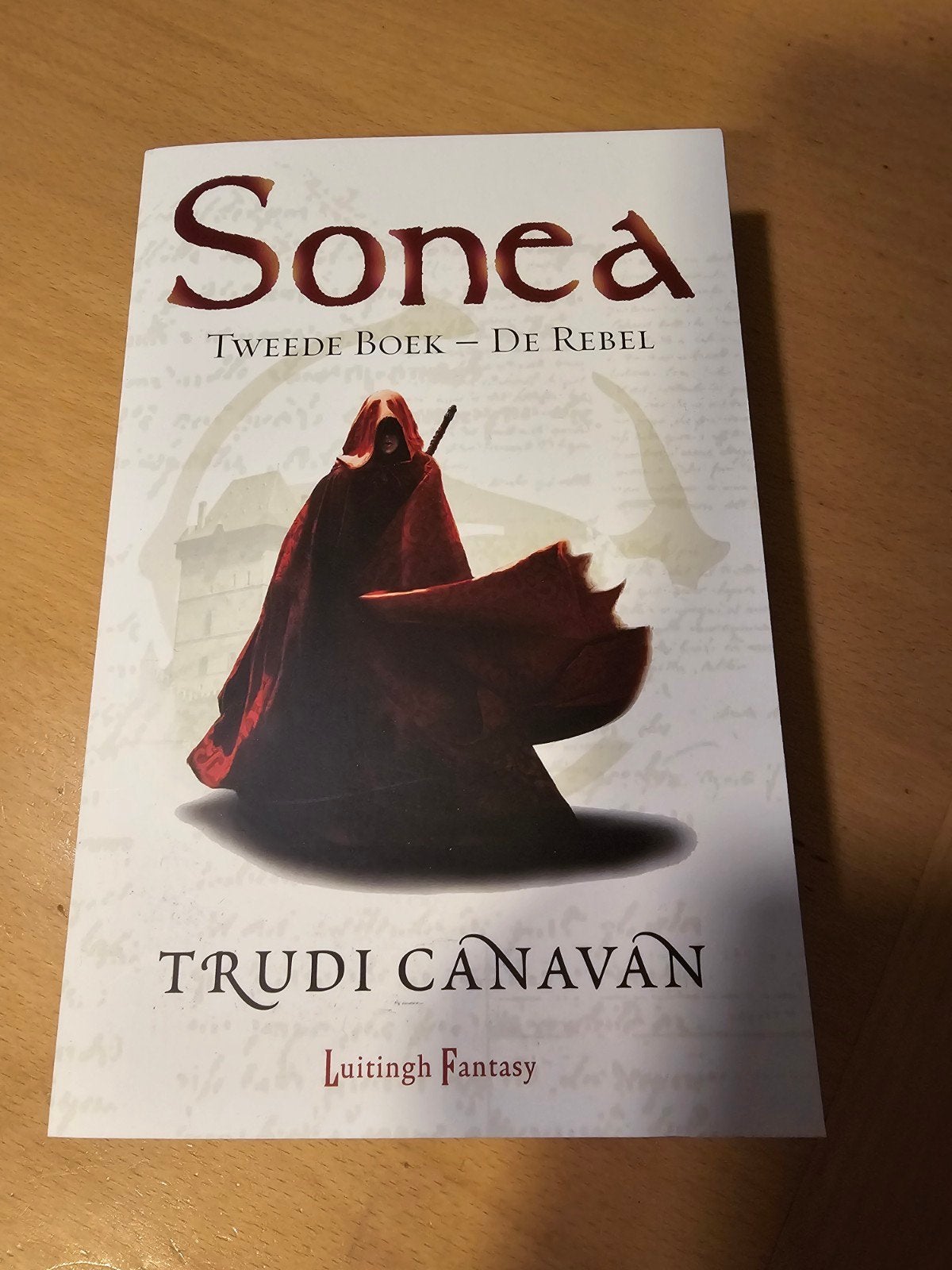 Trudi Canavan - De Rebel, Ophalen of Verzenden, Zo goed als nieuw