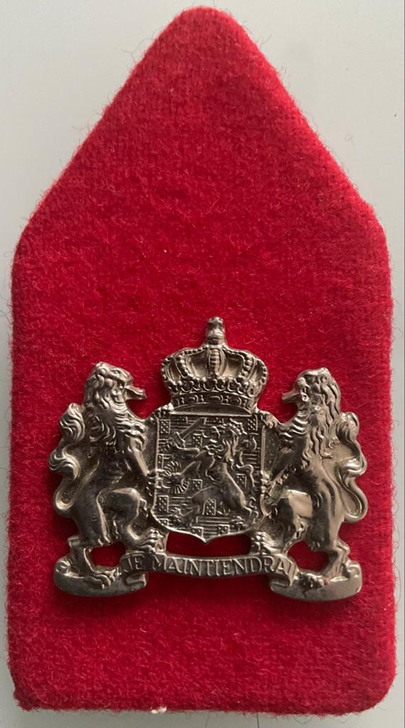 Kraagspiegel Korps Nationale Reserve (Natres)., Verzamelen, Verzenden, Landmacht, Nederland, Embleem of Badge