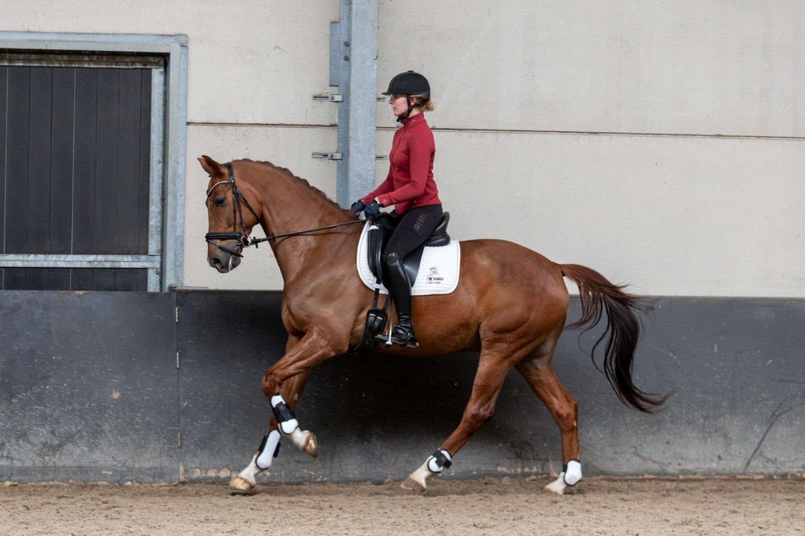 Vos ruin z1  dressuur, Dieren en Toebehoren, Paarden