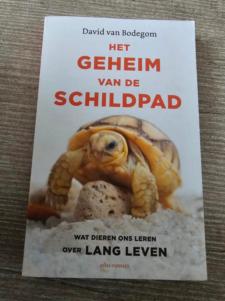 Het Geheim van de Schildpad - David van Bodegom, Ophalen of Verzenden, Gelezen, David van Bodegom