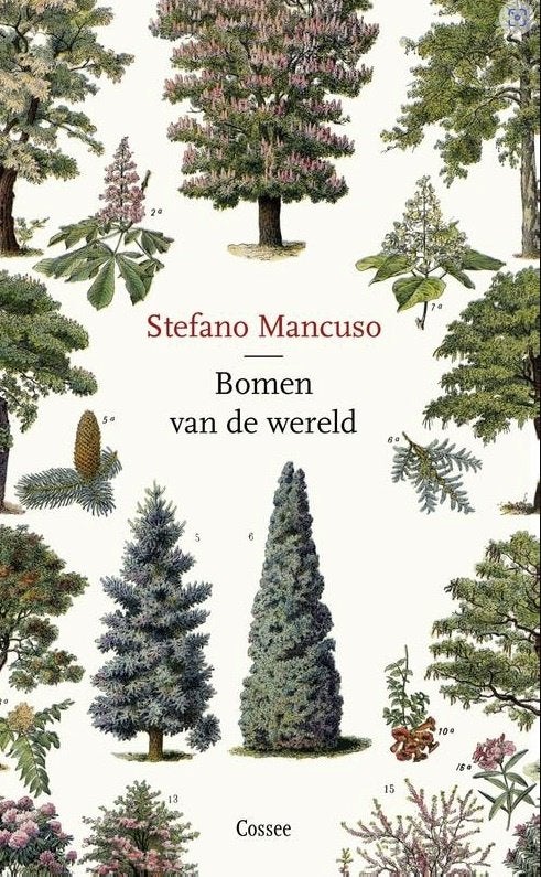 Bomen van de wereld, Stefano Mancuso, Ophalen of Verzenden, Zo goed als nieuw, Natuur algemeen