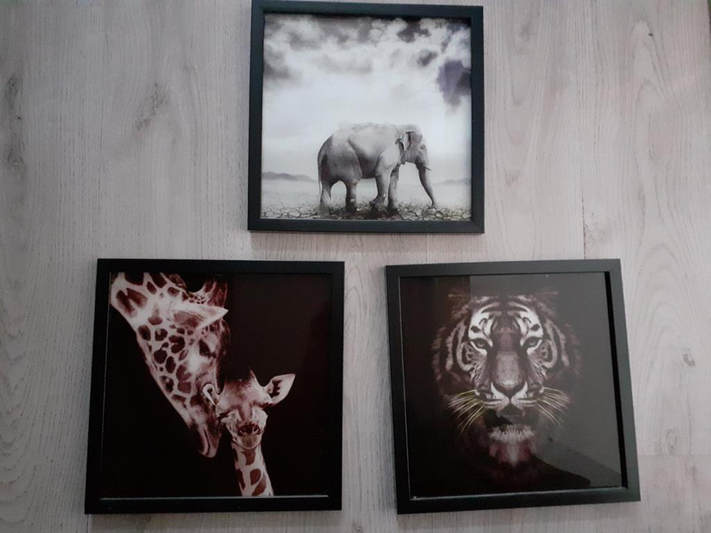 Schilderij, Ophalen, Minder dan 50 cm, Zo goed als nieuw, Schilderij