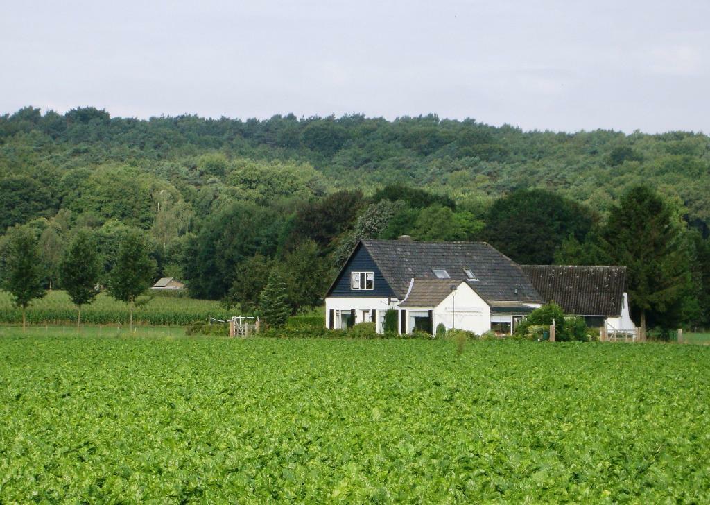 Vakantiehuis Montferland, 16 pers.,  sauna + spa, 26-6 bb, Vakantie, Vakantiehuizen | Nederland, Groepsaccommodatie, Wasmachine