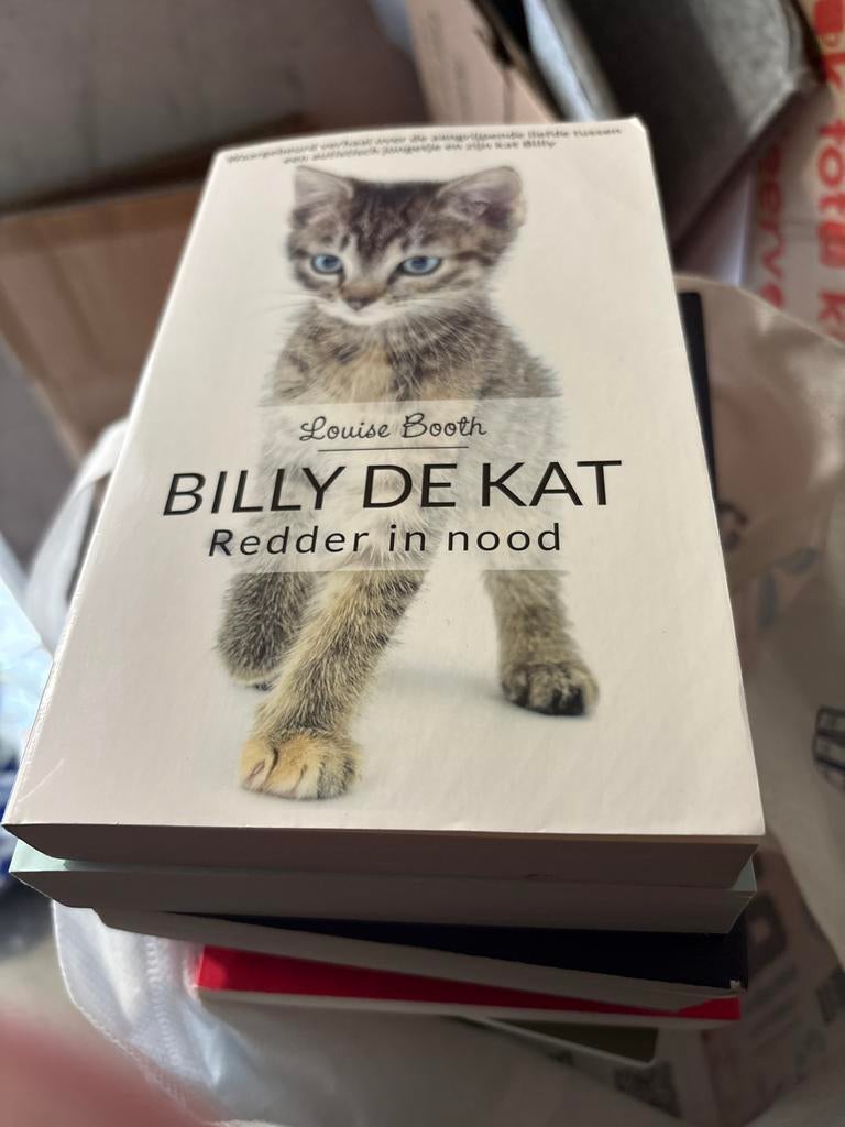Billy de Kat - Louise Booth, Ophalen of Verzenden, Zo goed als nieuw, Fictie algemeen