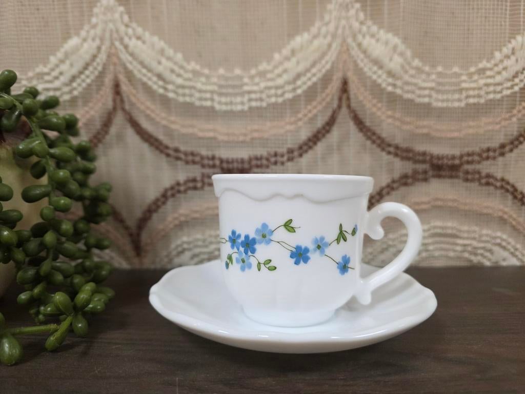 Arcopal France Veronica kop en schotel retro servies, France, Gebruikt, Arcopal, Unknown