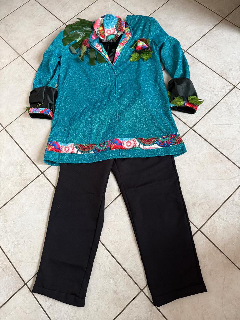 Carnavalspak heren, maat L, Kleding | Heren, Maat 52/54 (L), Ophalen of Verzenden, Overige thema's, Kleding