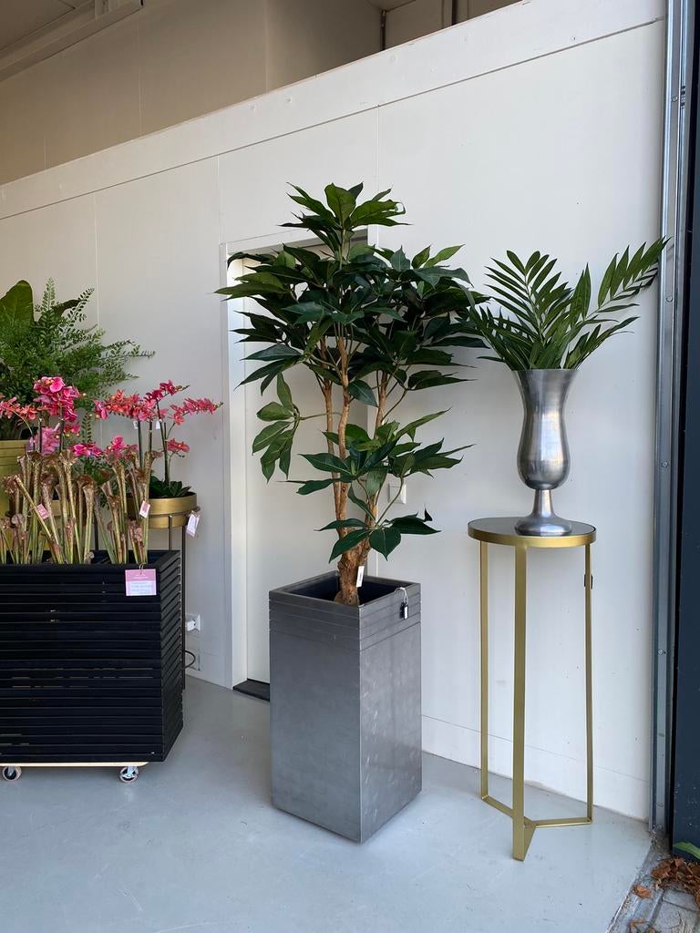 Schefflera kunstplant kunstboom nepplant 190cm echt hout, Binnen, Nieuw, Ophalen of Verzenden, Flora