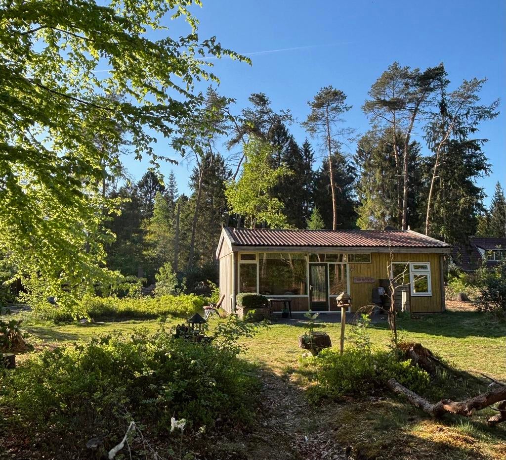 NORG (DRENTHE) Tummetot: 4 p.gezellig boshuis met grote tuin, In bos, Chalet, Bungalow of Caravan, Rolstoelvriendelijk, Landelijk