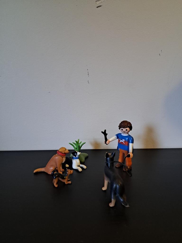 Playmobil Hondenbegeleider - 9279, Ophalen of Verzenden, Zo goed als nieuw, Complete set