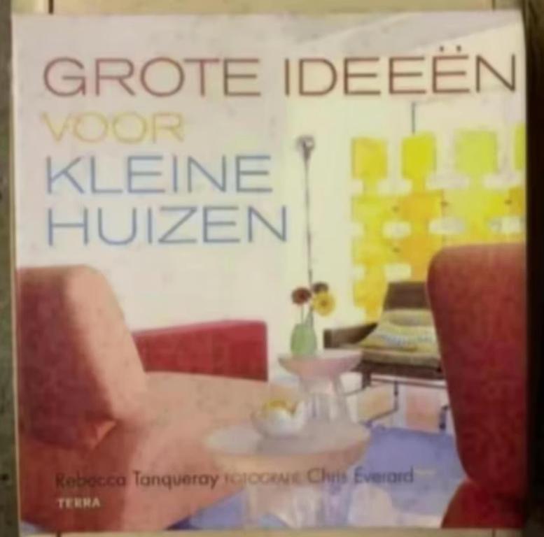 Grote ideeen voor kleine huizen; tanqueray; ISBN 9058976890, Boeken, Wonen en Tuinieren, Zo goed als nieuw, Interieur en Design