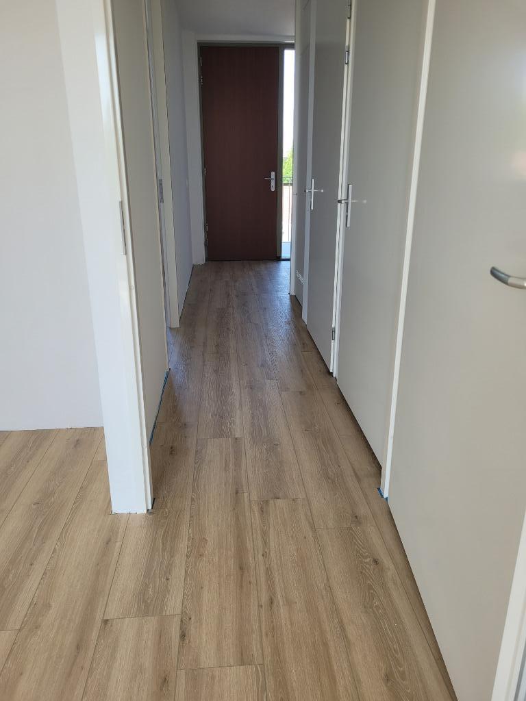 all round klusser , vloeren muren cinewall trappen