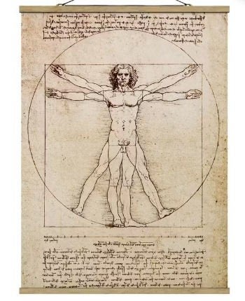 wandkleed da Vinci, Ophalen