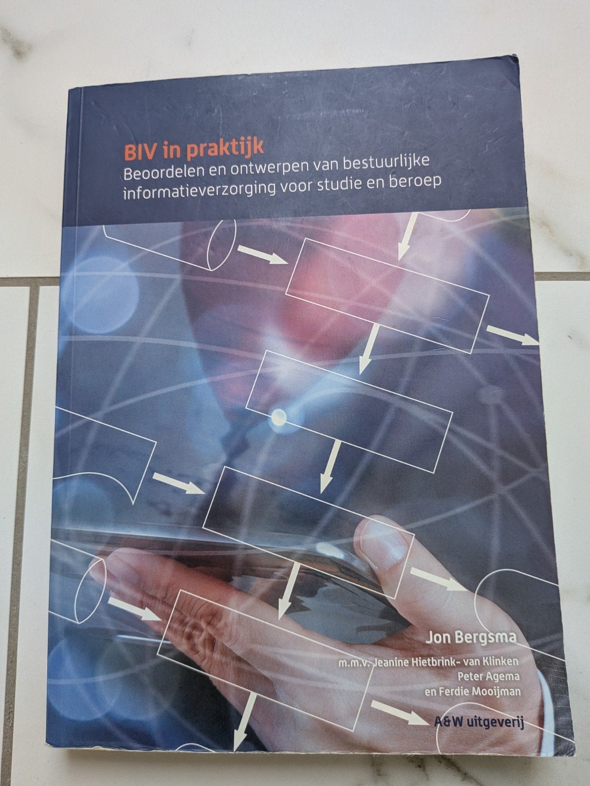 Jon Bergsma - BIV in praktijk, Boeken, Ophalen of Verzenden, Jon Bergsma, Management, Zo goed als nieuw