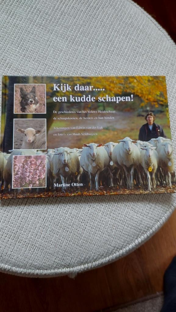 Kijk daar..... een kudde schapen! - Veluws Heideschaap, Ophalen of Verzenden, Zo goed als nieuw, Vee, Martine Otten